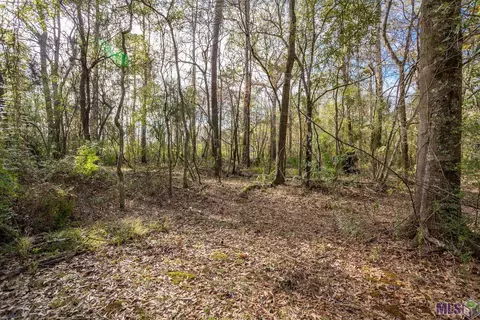 14138 Pine Park Dr, Walker, LA 70785 photo 22