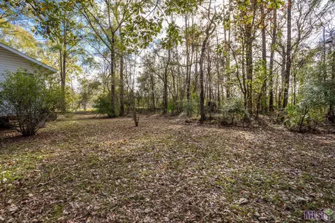 14138 Pine Park Dr, Walker, LA 70785 photo 20