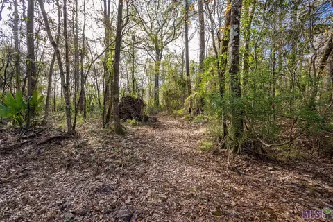 14138 Pine Park Dr, Walker, LA 70785 photo 21