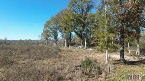 Parcel 1 & 6 W Horseshoe Rd, Amite, LA 70422
