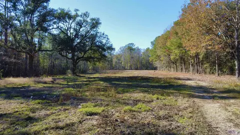 38965 N Walker Rd, Walker, LA 70785 photo 1