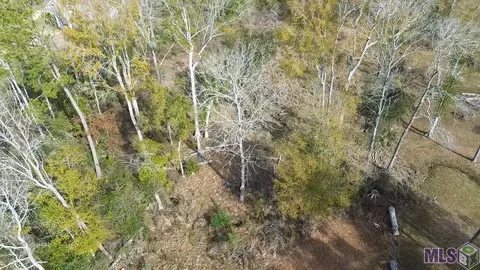 lot7 E Horseshoe Rd, Amite, LA 70422