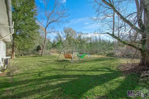 14187 Bear Island Rd, Maurepas, LA 70449 photo 5