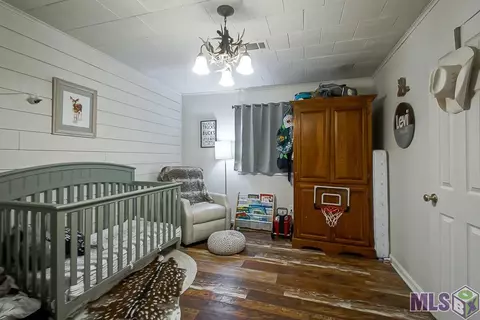 14187 Bear Island Rd, Maurepas, LA 70449 photo 10