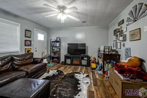 14187 Bear Island Rd, Maurepas, LA 70449 photo 3