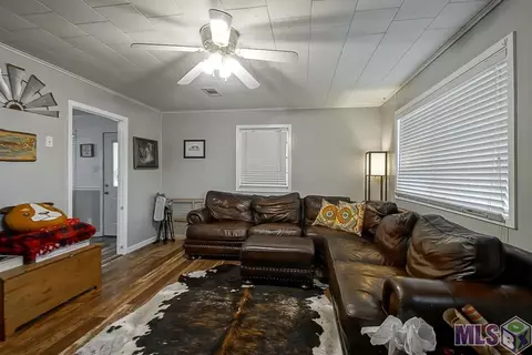 14187 Bear Island Rd, Maurepas, LA 70449 photo 7