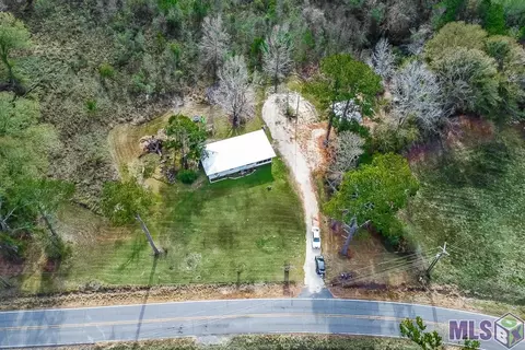 14187 Bear Island Rd, Maurepas, LA 70449 photo 13