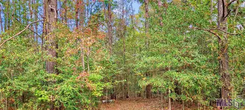 36793 Cryer Rd # -B, Denham Springs, LA 70706