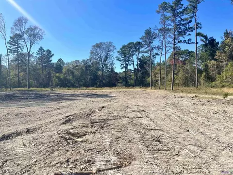 30491 Pasture 1024 Ln, Denham Springs, LA 70706