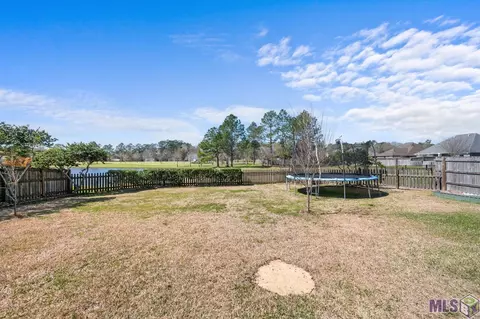 34091 Spring Lake Dr, Walker, LA 70785 photo 18