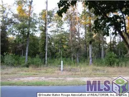 13951 Clubhouse Way Dr, Saint Francisville, LA 70775