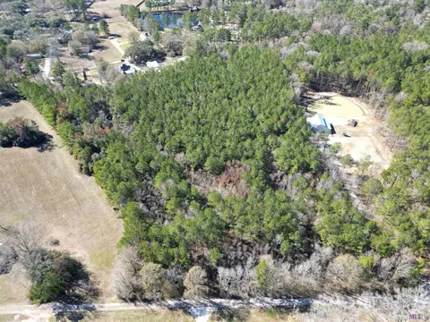 tbd Joel Ott Dr, Denham Springs, LA 70706