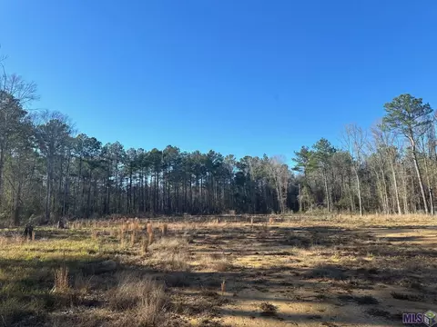 36222 Weiss Rd, Walker, LA 70785 photo 2