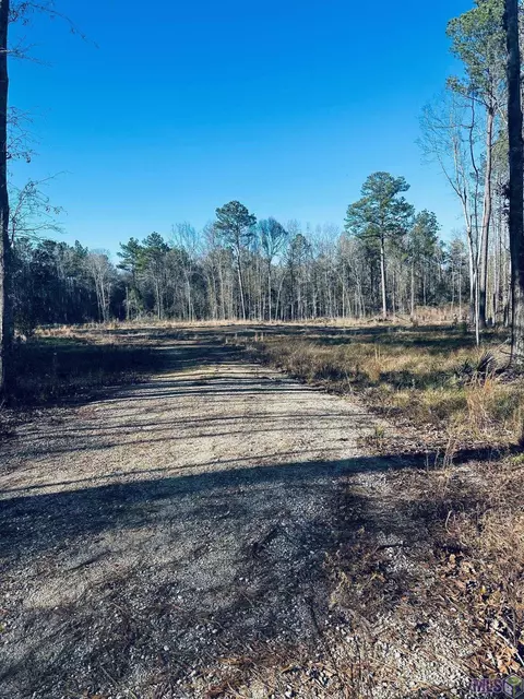 36222 Weiss Rd, Walker, LA 70785 photo 3