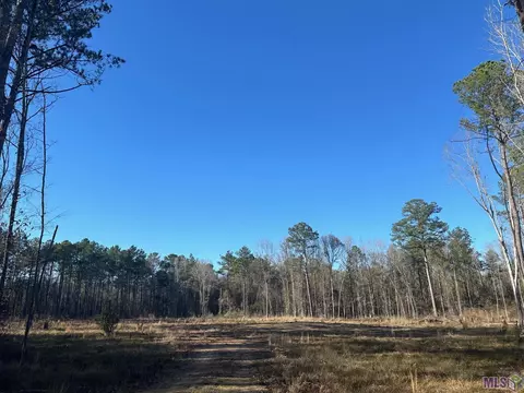 36222 Weiss Rd, Walker, LA 70785 photo 4