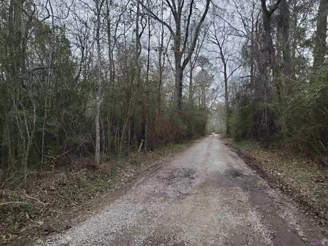 lot C Leblanc Ln, Greenwell Springs, LA 70739