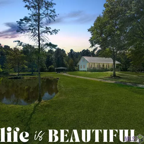 12280 Whitetail Ln, Walker, LA 70785 photo 50
