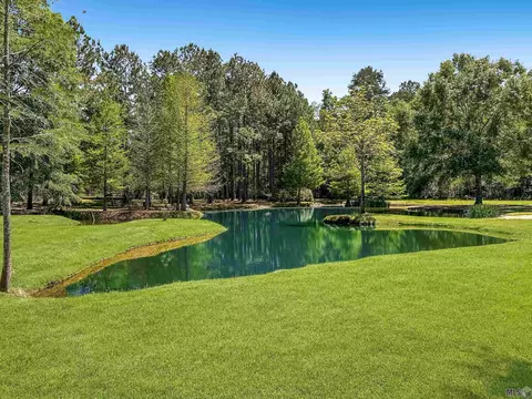 12280 Whitetail Ln, Walker, LA 70785 photo 3