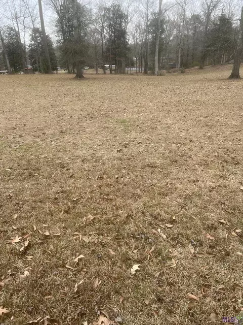 tbd Odell Williams Rd, Ethel, LA 70730