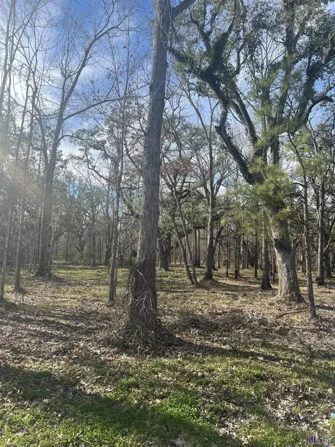 Wc-7 Coates Rd, Springfield, LA 70462 photo 3