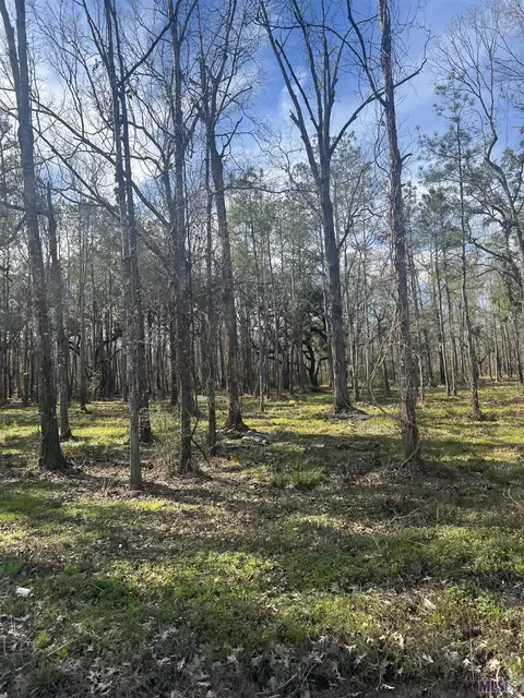 Wc-7 Coates Rd, Springfield, LA 70462