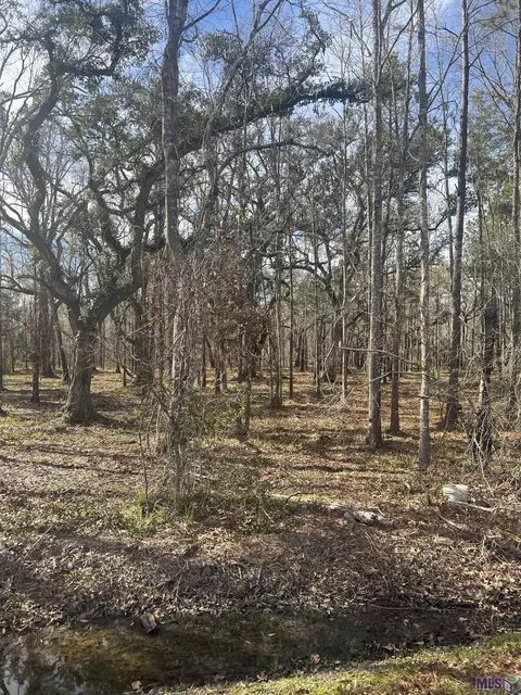 Wc-7 Coates Rd, Springfield, LA 70462 photo 2