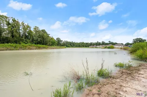 View/Area - 14651 Carroll Ave, Walker, LA 70785 photo 1 of 1