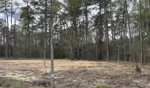 lot B3 Reinninger Rd, Denham Springs, LA 70706