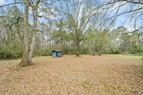 12498 Pendarvis Ln, Walker, LA 70785 photo 21
