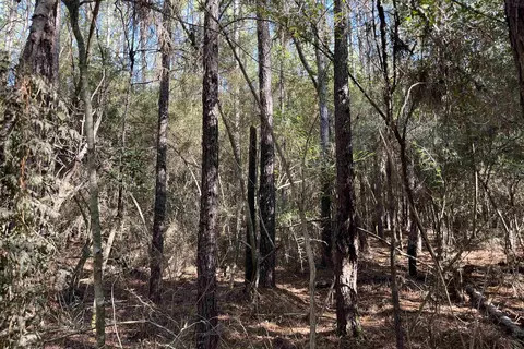 60 Butler Rd, Greensburg, LA 70441