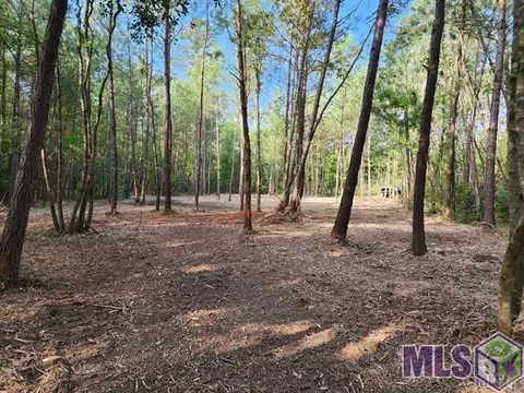 Tract R-2-d La Hwy 43, Independence, LA 70443