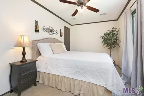 16040 Ruth Dr, Walker, LA 70785 photo 14