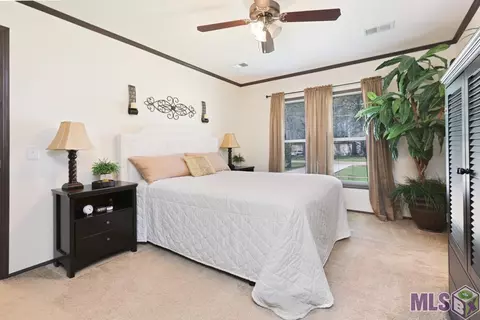 16040 Ruth Dr, Walker, LA 70785 photo 9