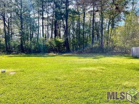 13360 Savannah Dr, Walker, LA 70785 photo 18