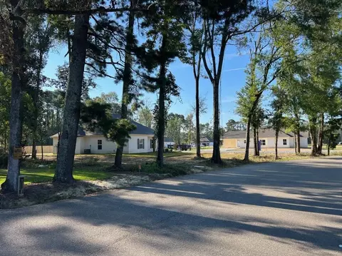 33362 Clinton Allen Rd, Denham Springs, LA 70706