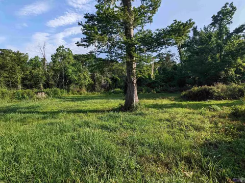 Other - 14146 Old River Rd, Maurepas, LA 70449 photo 5 of 8