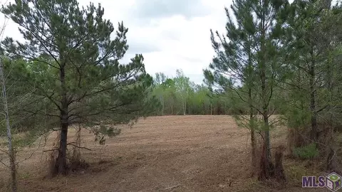 lot10 11 La Hwy 450, Franklinton, LA 70438