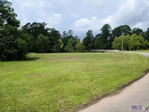 13822 Calle Sevario Dr, Port Vincent, LA 70769