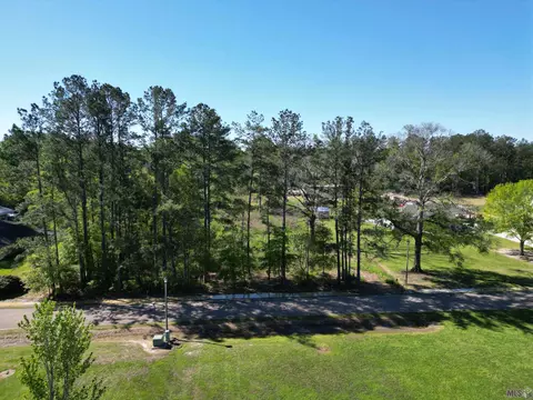 11354 Maxwell Dr, Walker, LA 70785 photo 6
