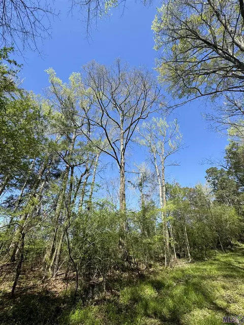 00 Whitehead Rd, Choudrant, LA 71227 photo 7