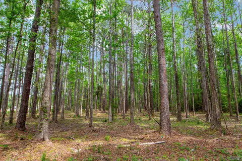 Sf-8 La Hwy 16, Denham Springs, LA 70706