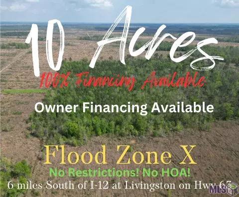 10 Acres La Hwy 63, Livingston, LA 70754