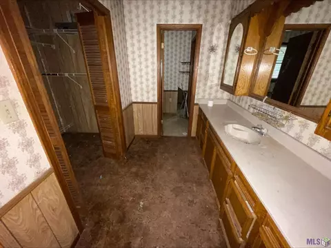 14260 Pine Park Dr, Walker, LA 70785 photo 9
