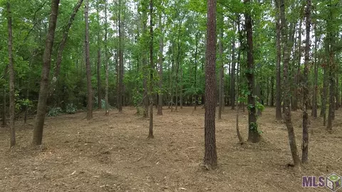63168 Chappepeela Ridge Rd, Amite, LA 70422