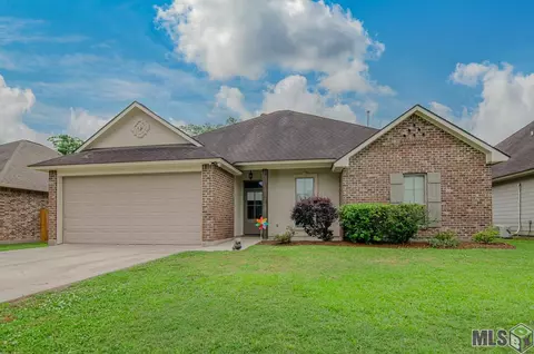 17736 H S Brignac Dr, French Settlement, LA 70733