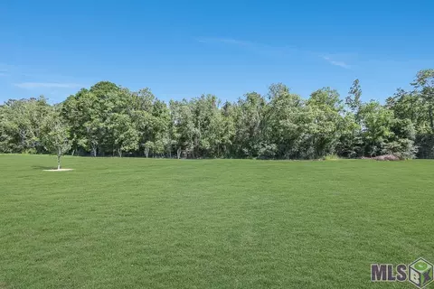13111 N Ridge Dr, Walker, LA 70785 photo 25