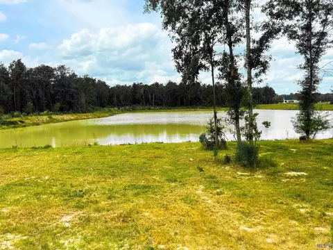 15493 Molly Grace, Prairieville, LA 70769
