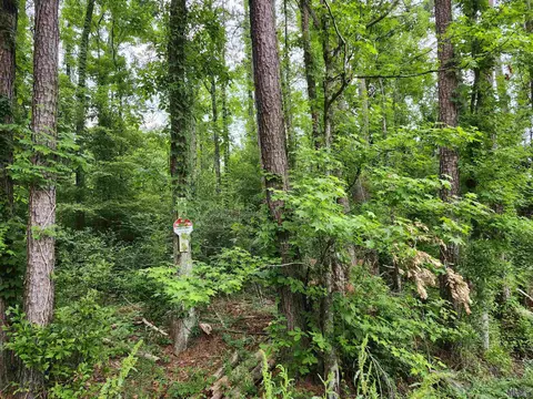 lot83 Baker Dr, Denham Springs, LA 70726