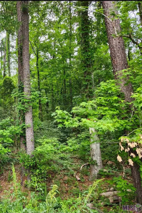 lot84 Baker Dr, Denham Springs, LA 70726