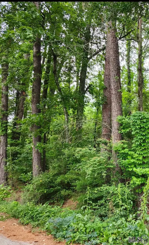 lot85 Baker Dr, Denham Springs, LA 70726